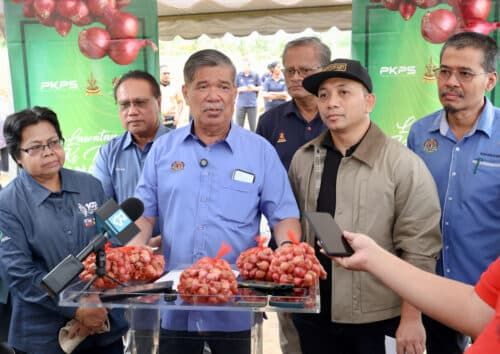 Malaysia hasilkan 135 tan metrik bawang merah, Selangor terajui penanaman