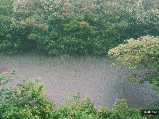 Thunderstorms, heavy rain in five states until 3pm