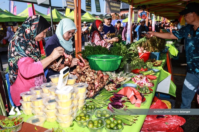Jualan Agro MADANI cecah RM67.11 juta, manfaat 16.24 juta isi rumah - FAMA