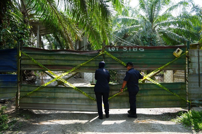MPKL keluar notis ladang ayam gagal kawal lalat