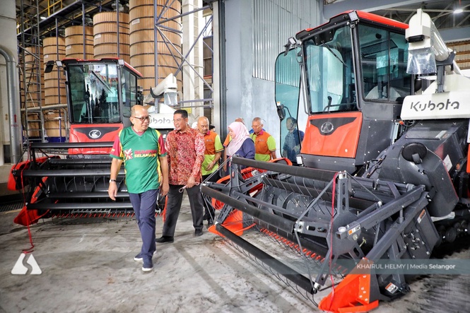 Tingkat produktiviti padi, Selangor teliti semula kaedah tanam dan infrastruktur