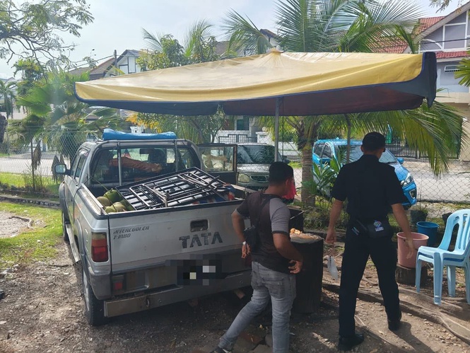 Penjual air kelapa, pusat cuci kereta tanpa lesen disita MBSJ
