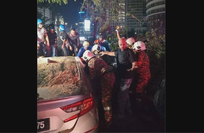 Man killed after tree crushes car on Jalan Tun Razak