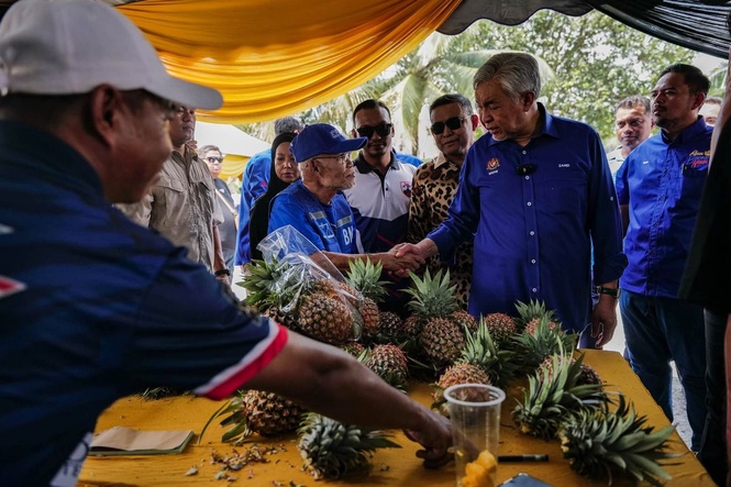 Kerajaan sasar kurangkan 50 peratus import makanan menjelang 2050