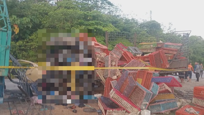 Tiga maut lori muatan ayam rempuh treler diparkir tepi jalan