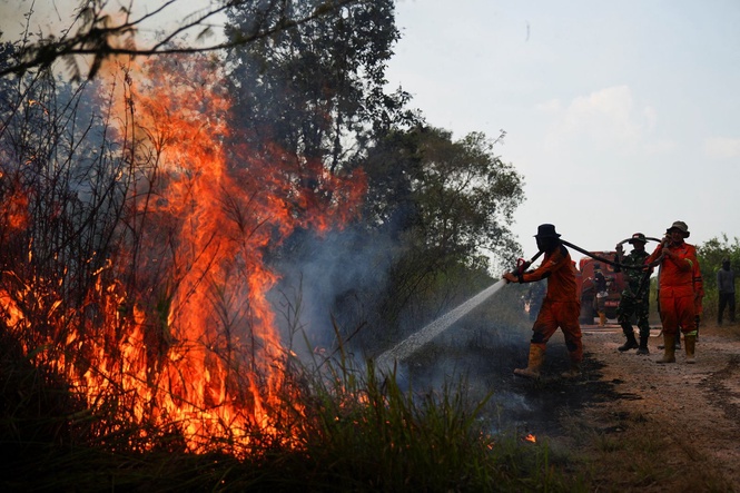 Haze: Malaysia, Indonesia discuss joint action on forest fires
