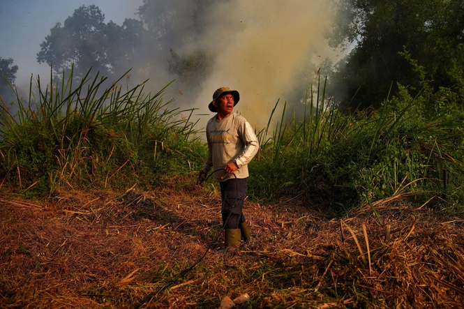 Forest fires continue to plague Indonesia as regional haze concerns persist