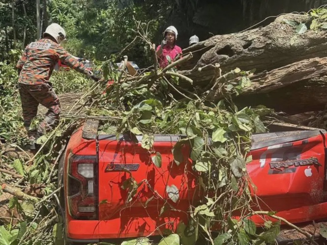 Empat maut, seorang cedera pikap dihempap pokok