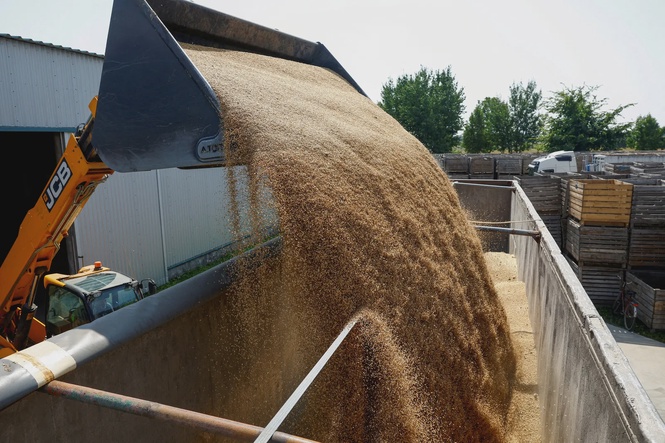 UN: World food prices near four-year high in September