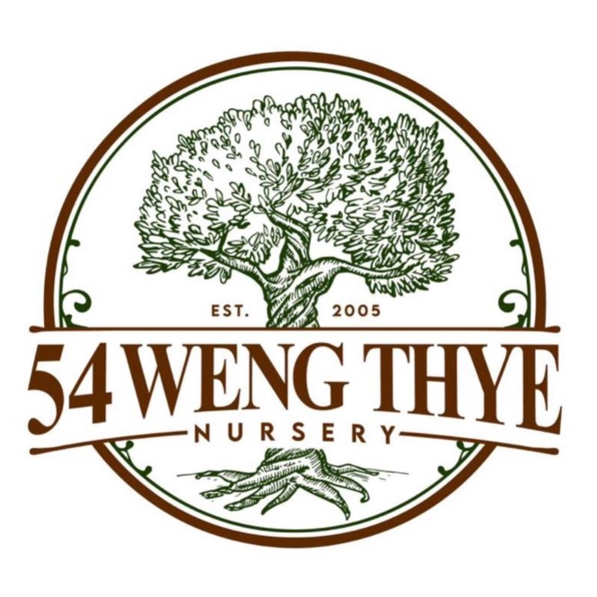 Weng Thye Nursery
