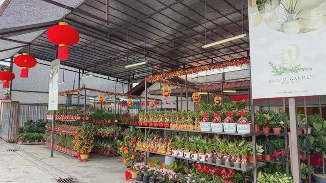 DL Lim Garden florist Taman Abad Johor Bahru fresh bouquet