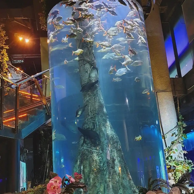 Aquaria KLCC oceanarium underwater tunnel Kuala Lumpur