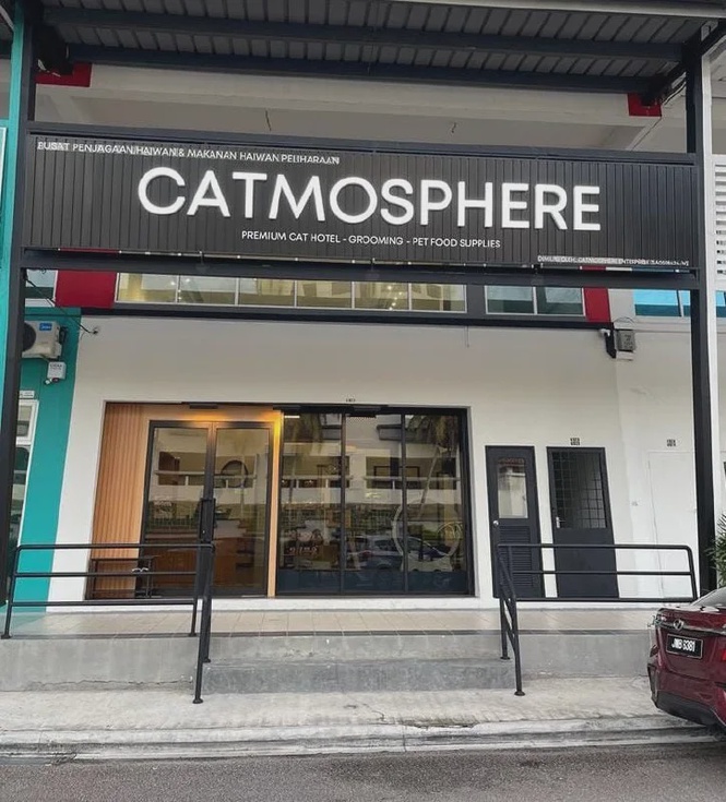 Catmosphere cat grooming and cat hotel Kampung Nong Chik Johor Bahru