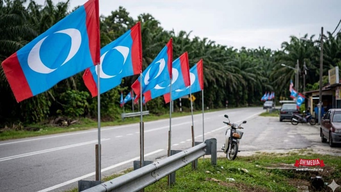 Row of blue and red flags with white crescents along a roadside, with a motorcycle parked nearby and palm trees in the background.