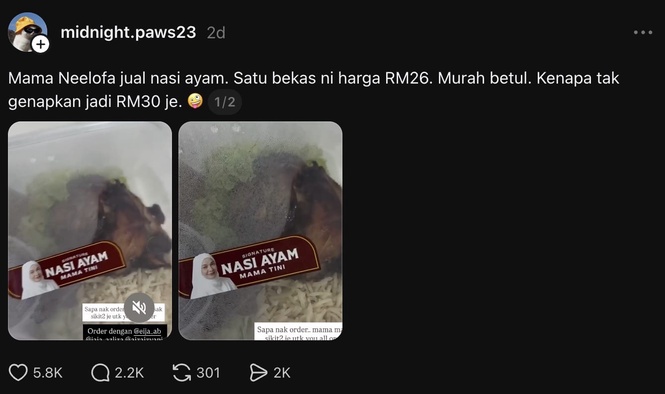 nasi ayam