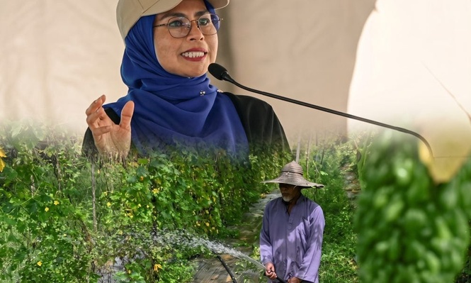 Tak mahu siapa tercicir! Lebih 144,000 pekebun kecil dapat BUDI Agri-Komoditi