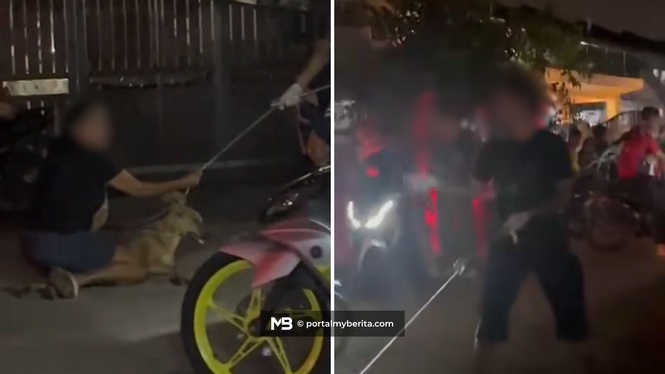 Polis siasat anggota MBDK diugut dengan pisau ketika operasi tangkap anjing liar