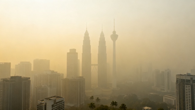 Can Health Supplements Help with Haze?