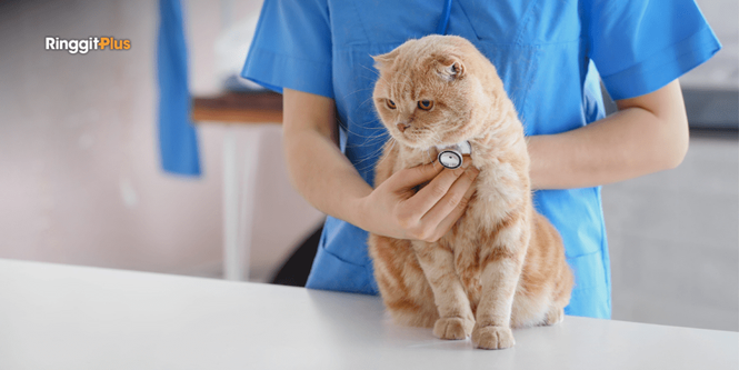 Image from: Vet Lab Fees Could Rise For The First Time Since 1983