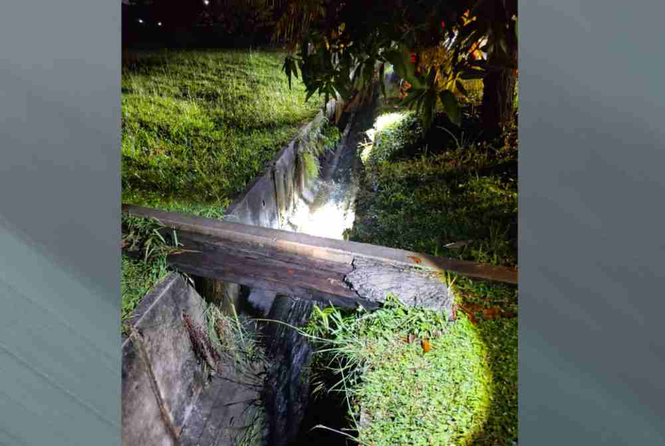 Image from: Victim was playing ball before falling into drain