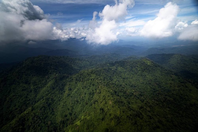Image from: Hiking activities at Gunung Batu Putih temporarily suspended - Perak Forestry Dept