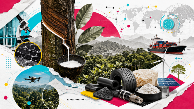 Image from: Can Malaysia reinvent natural rubber before it’s too late?