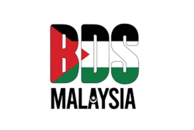 Image from: BDS Malaysia backs Syed Saddiq’s probe into Forest City Network School project