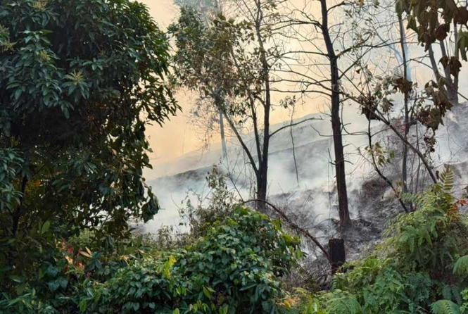Image from: Two-acre forest fire breaks out in Puncak Alam