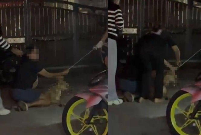 Image from: Police probe death of dog Rocky during Port Klang stray capture operation