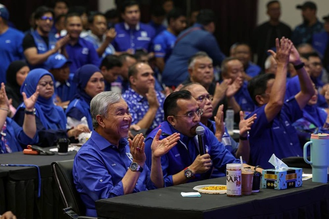 Image from: Zahid-led delegation arrives at Istana Hinggap