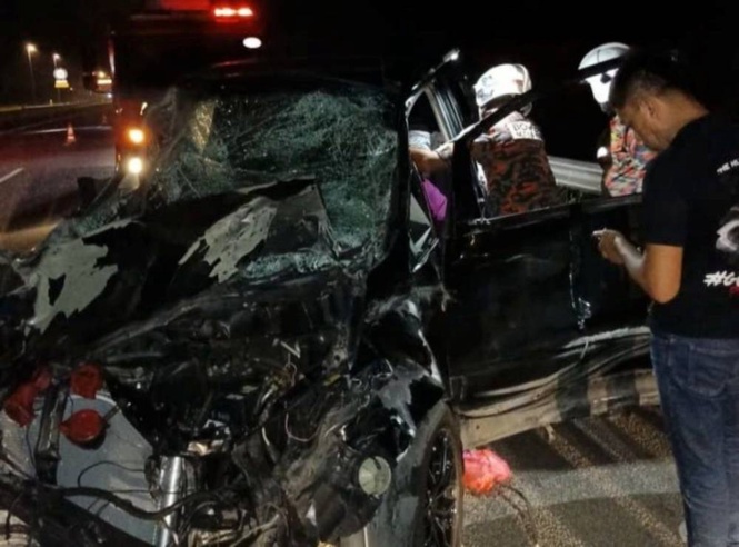 Image from: LPT2 driver demands safety fixes after wild elephant collision