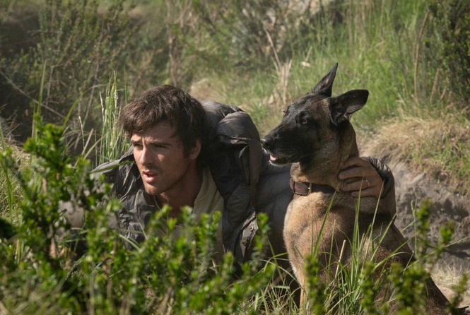 Image from: A tale of human compassion and survival in Dog Stars