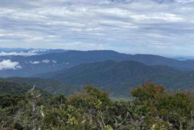 Image from: Boy, nine, among six hikers feared missing on Gunung Trans Gerah