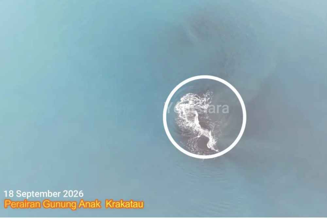 Image from: New land emerges near Anak Krakatau, sparks speculation of 'Krakatau's grandchild'