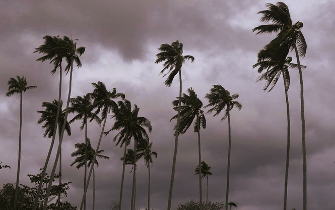 Image from: Strong winds expected in northern peninsula from tomorrow