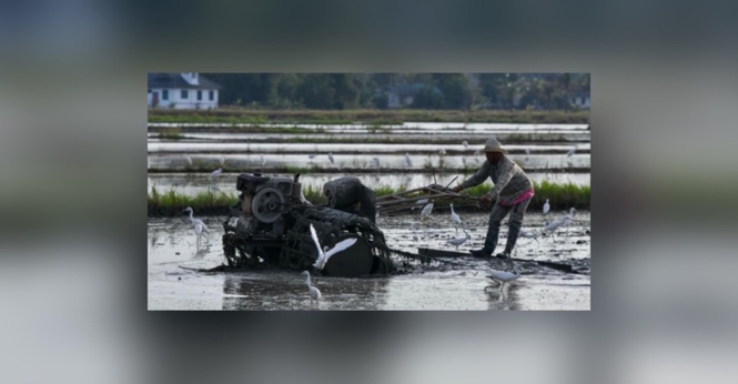 Dakwaan Kerajaan Lewat, Gagal Salur Bantuan Kepada Pesawah Tidak Benar - Mohamad Sabu