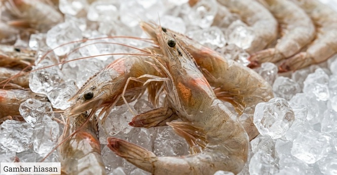 Isu Sekatan Udang: Thailand Mula 'Panas', Mahu Lapor Malaysia Ke WTO, ASEAN