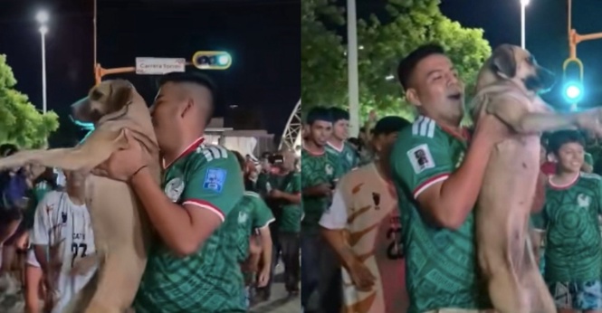 Sebulan Hilang, Anjing Kesayangan Dijumpai Tengah "Join" Sambutan Kemenangan Mexico