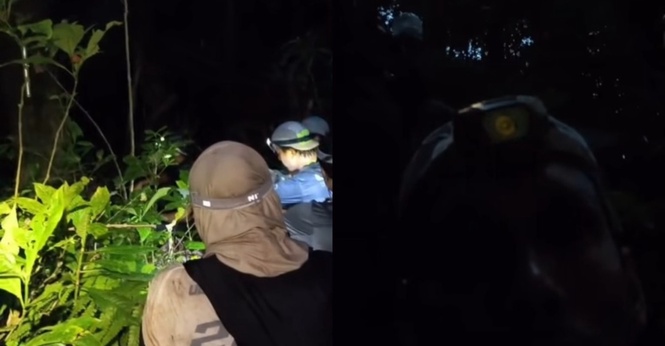 "Pergi 7 Orang, Balik 8 Orang.." Wanita Kongsi Pengalaman Misteri Masuk Hutan