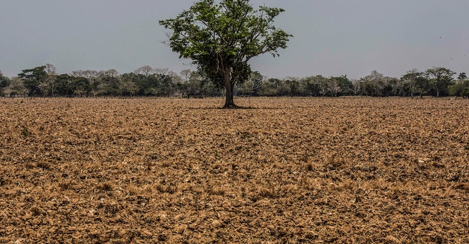 Ancaman El Nino, Sejauh Mana Bekalan Makanan Dunia Berisiko Terjejas?