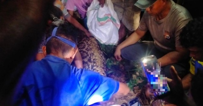 Disangka Hilang, Rupanya Sudah Dalam Perut Ular