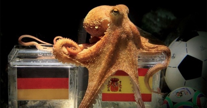 Paul The Octopus, Sotong ‘Peramal’ Yang Pernah Menggegarkan Dunia