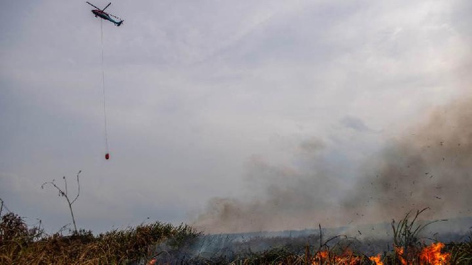 Indonesia Guna 4.6 Juta Liter Air Tangani Kebakaran Hutan Dan Tanah