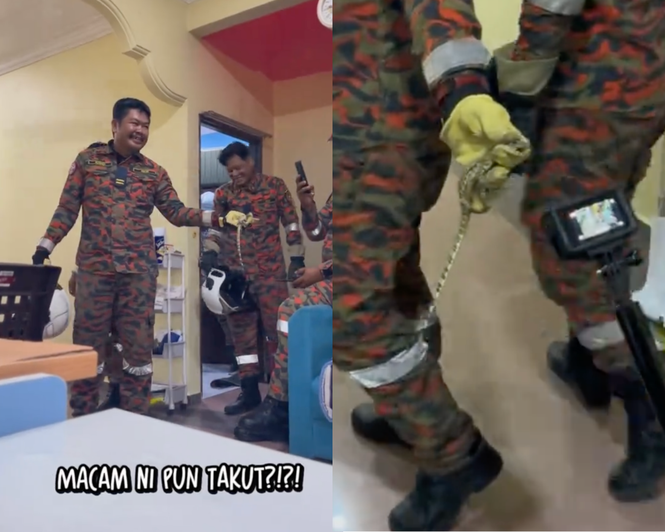 “Macam Ni Pun Takut”, Panik Biawak Masuk Rumah, Bomba Datang Pegang Sebelah Tangan Je