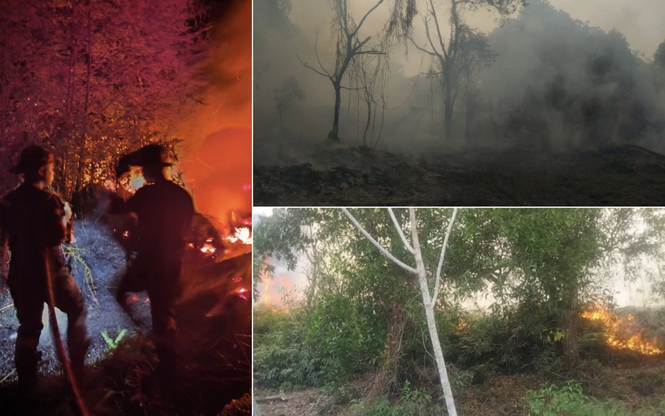 Hutan FRIM Bidor Terbakar, Pemadaman Disambung Pagi Ini