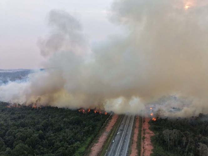 Kebakaran Hutan 17 Hektar Di Kota Tinggi, IPU Catat Tahap Sederhana