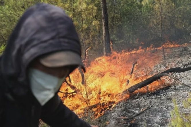 Algeria Lulus Undang-Undang Hukuman Mati Terhadap Pelaku Bakar Hutan