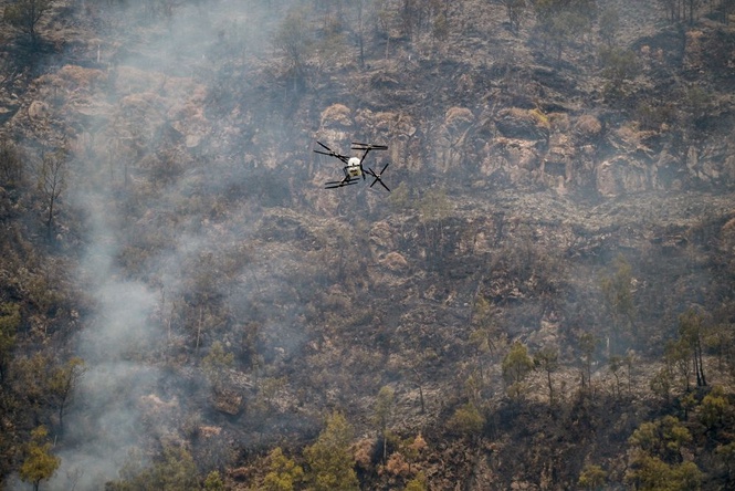 Indonesia Tidak Akan Isytihar Kebakaran Hutan Sebagai Bencana Nasional Buat Masa Ini