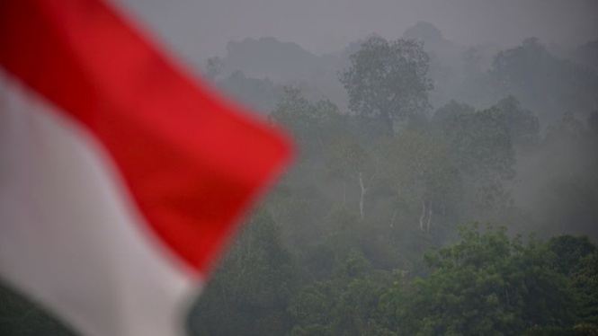 Indonesia Bangunkan Model Ramal Kebakaran Hutan Sehingga Enam Bulan Lebih Awal