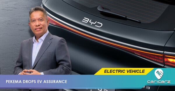 PEKEMA Assures Buyers That Remaining Port Stocks Will Keep Budget EVs Alive For A Bit Longer